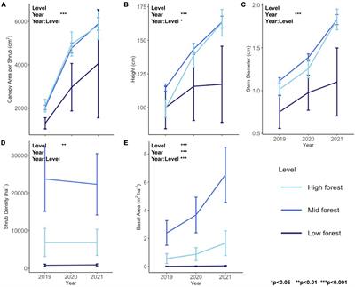 Shrub expansion in maritime forest responding to sea level rise